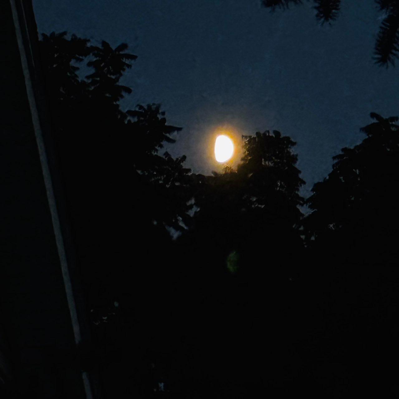 The Moon over Pittsford, United States — first quarter, Lunar Day 9