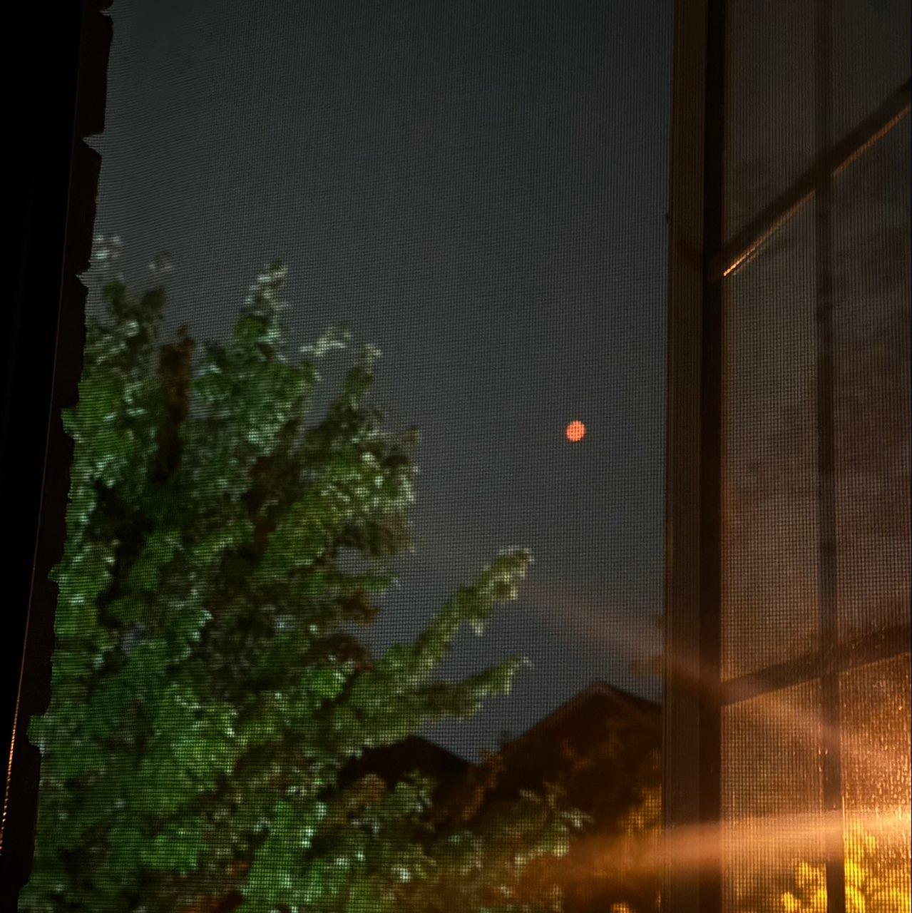 The Moon over Caledon, Canada — waxing gibbous, Lunar Day 13