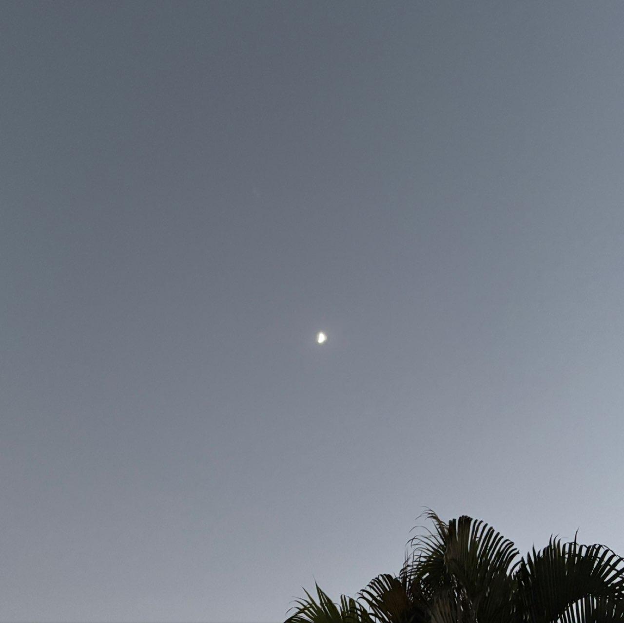 The Moon over Campo Grande, Brasil — last quarter, Lunar Day 24