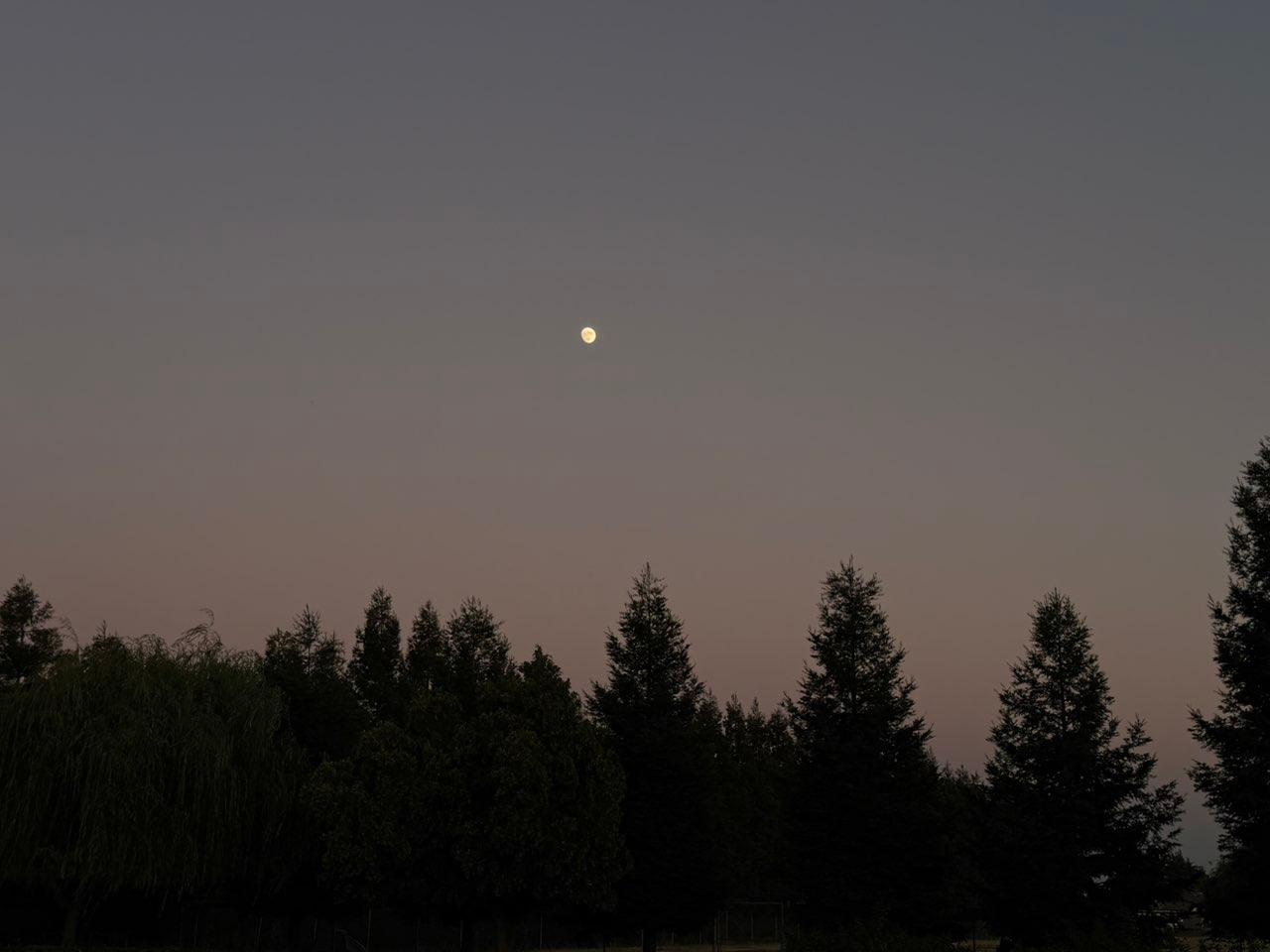 The Moon over Lodi, United States — waxing gibbous, Lunar Day 13