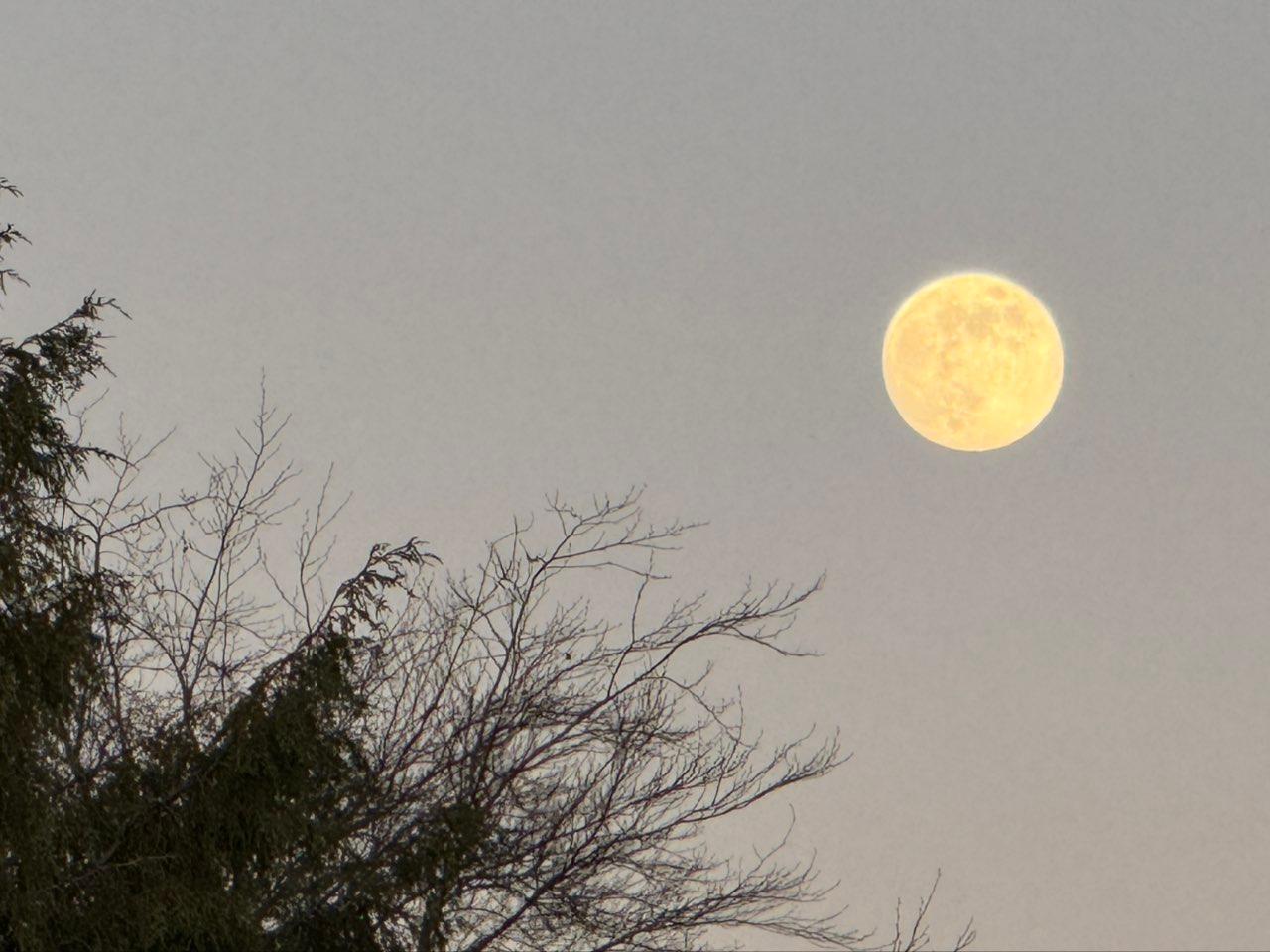 The Moon over Sunshine Coast, Canada — full moon, Lunar Day 14