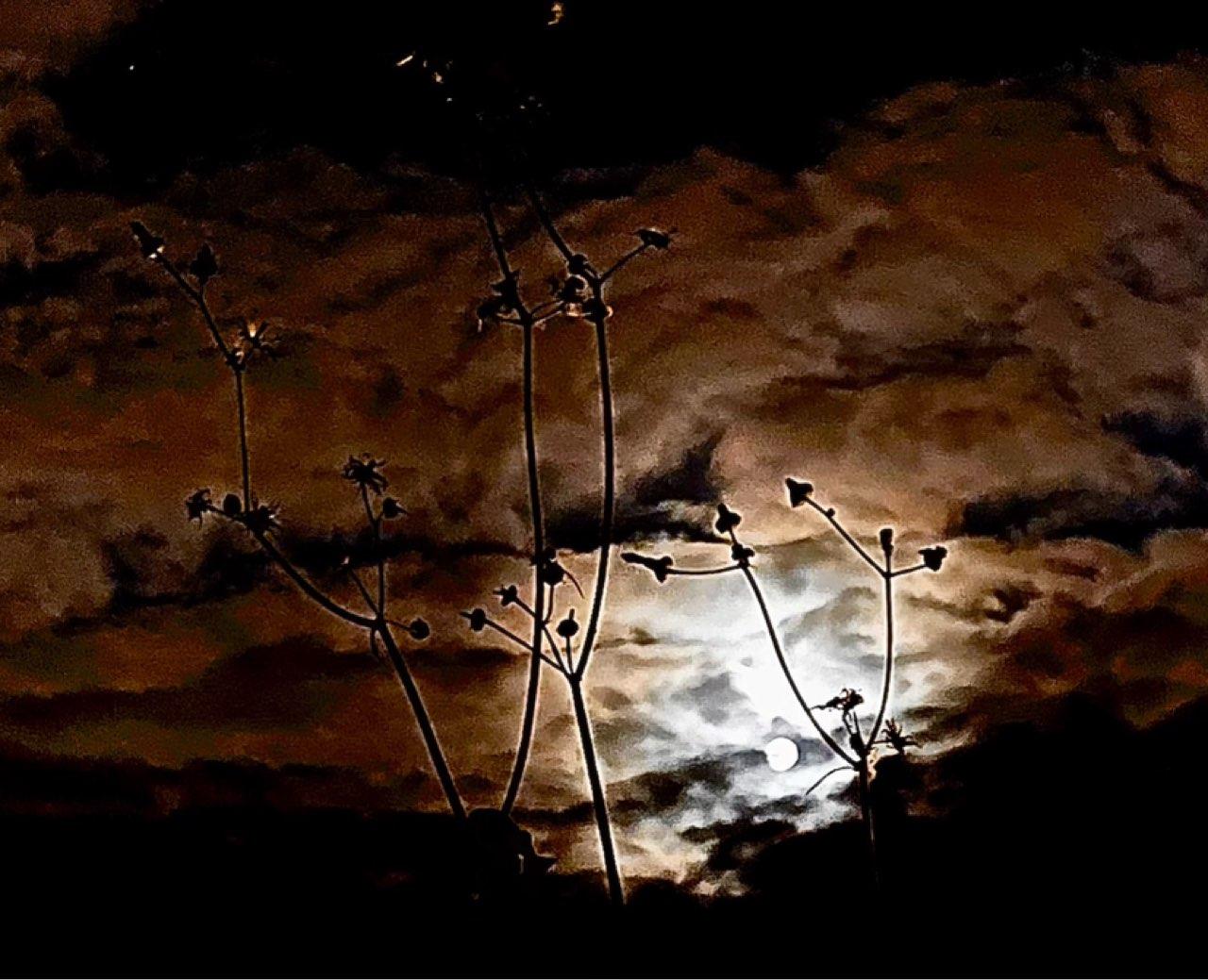 The Moon over Nice, France — full moon, Lunar Day 15