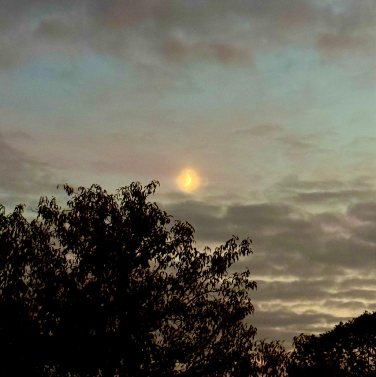 The Moon over Walsall, United Kingdom — first quarter, Lunar Day 8