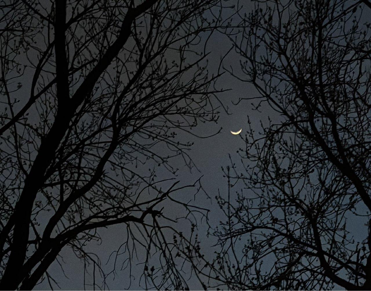 The Moon over Farmers Branch, Estados Unidos — waxing crescent, Lunar Day 5