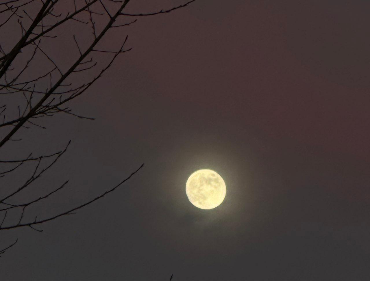 The Moon over Gränichen, Schweiz — full moon, Lunar Day 14