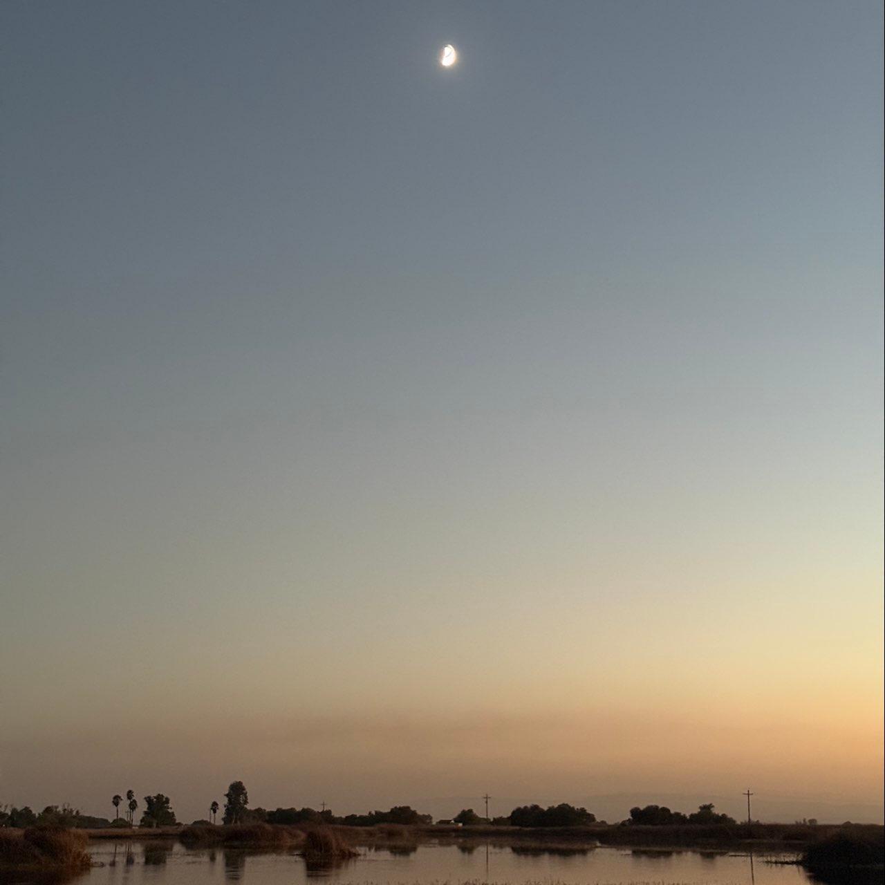 The Moon over Los Banos, United States — first quarter, Lunar Day 8