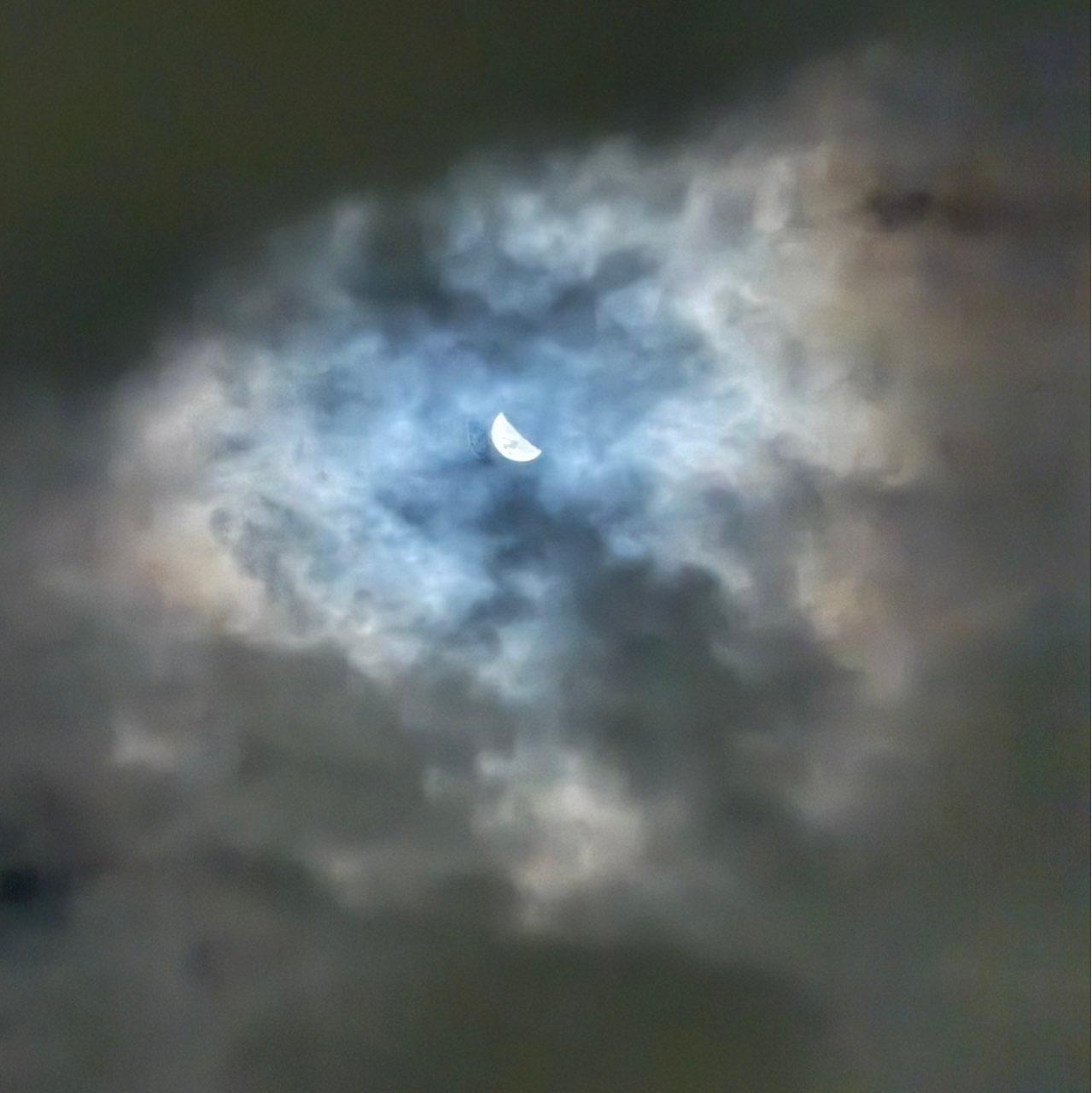 The Moon over Shortland, Australia — first quarter, Lunar Day 8