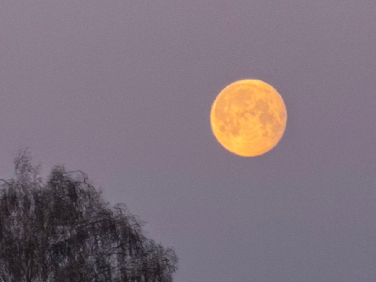 The Moon over Kraainem, Belgium — full moon, Lunar Day 16