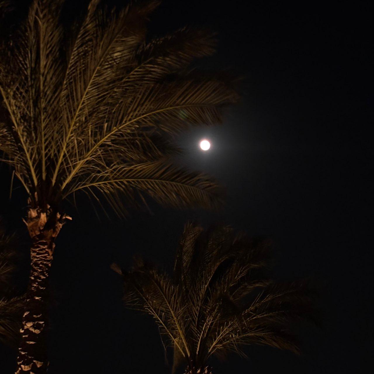 The Moon over Cairo, Egypt — full moon, Lunar Day 16
