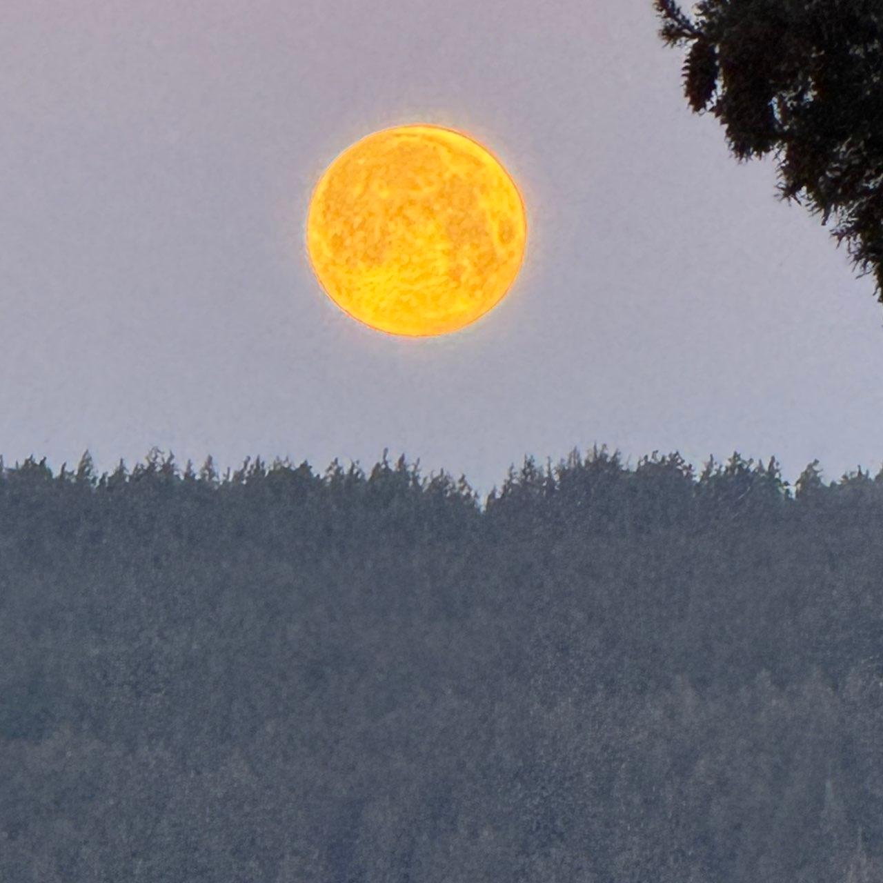The Moon over Sunshine Coast, Canada — full moon, Lunar Day 15