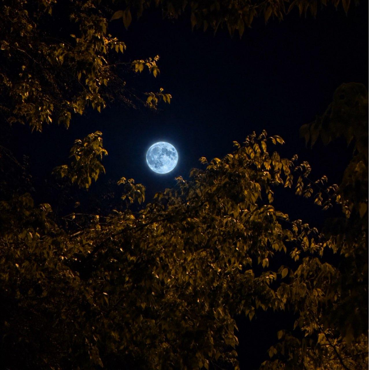 The Moon over Zürich, Schweiz — full moon, Lunar Day 15