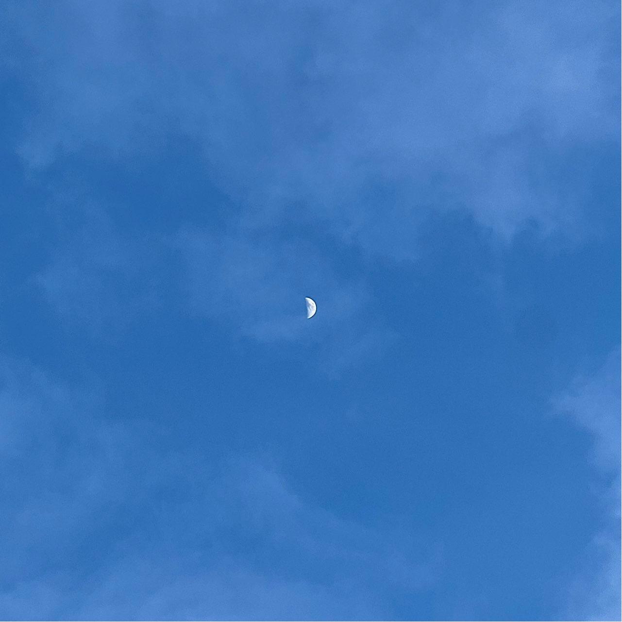 The Moon over Amsterdam, Netherlands — first quarter, Lunar Day 7