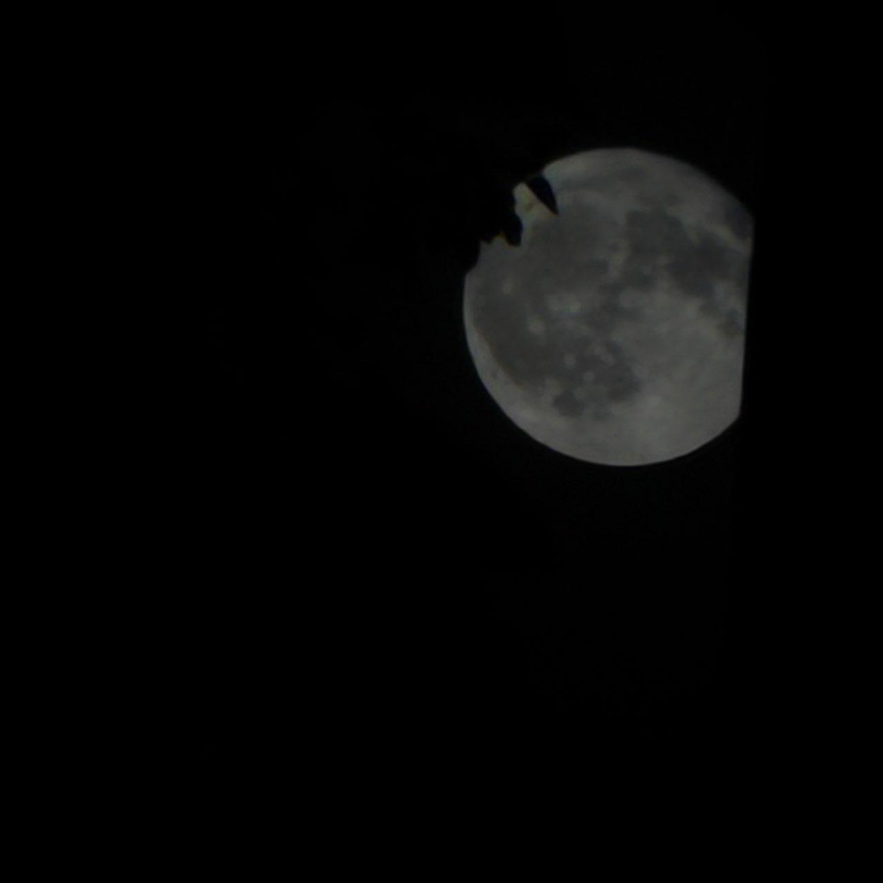 The Moon over Bushkill, United States — full moon, Lunar Day 17