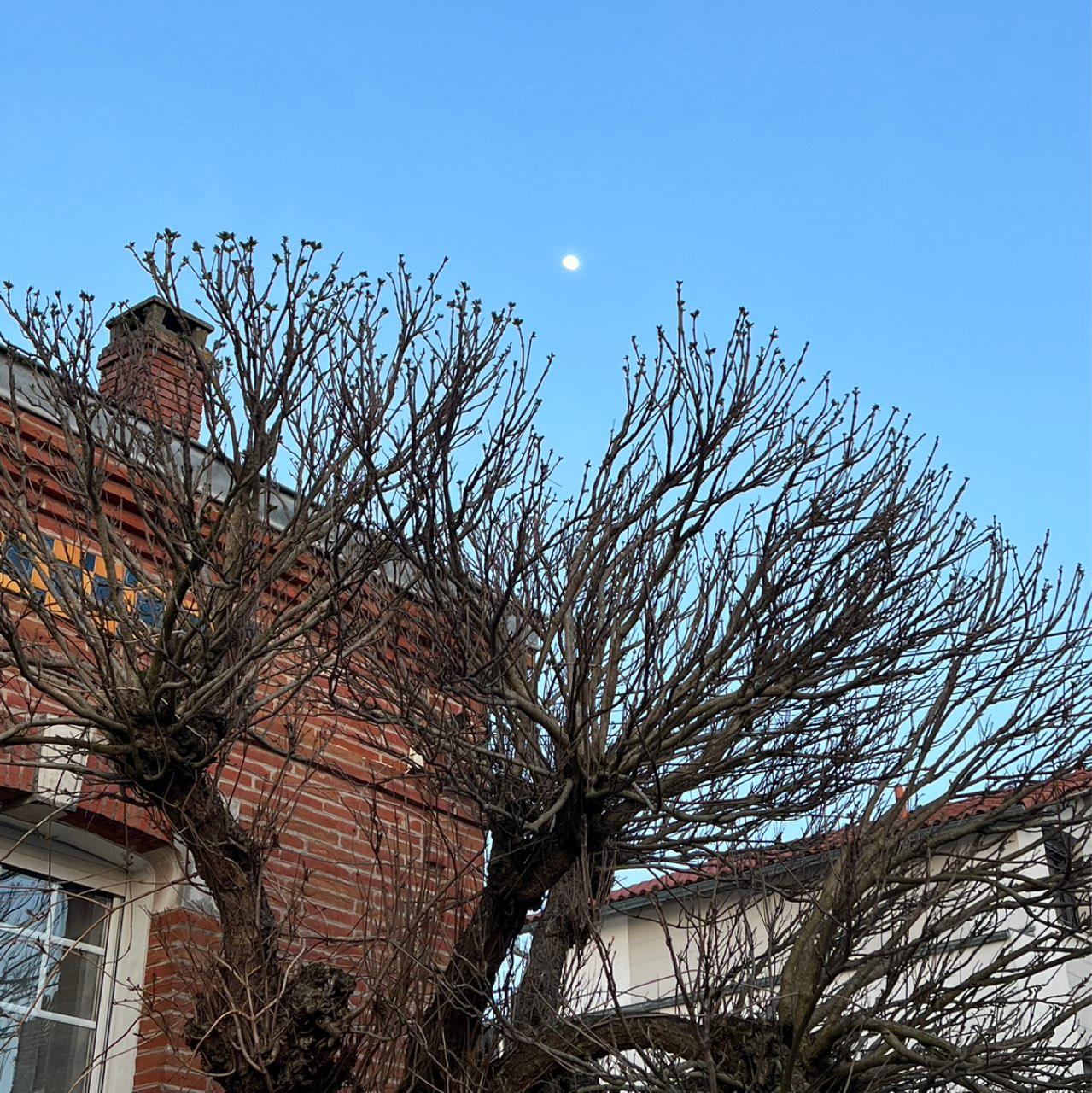 The Moon over Toulouse, Francia — waxing gibbous, Lunar Day 12