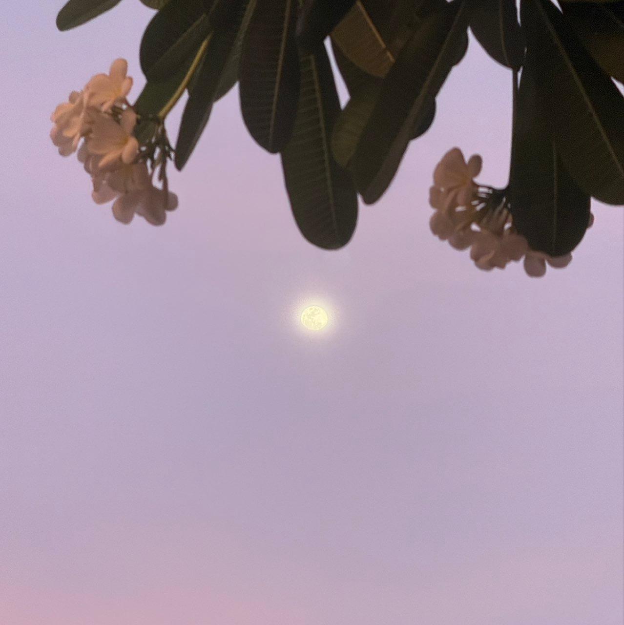 The Moon over San Fernando City, Philippines — full moon, Lunar Day 13