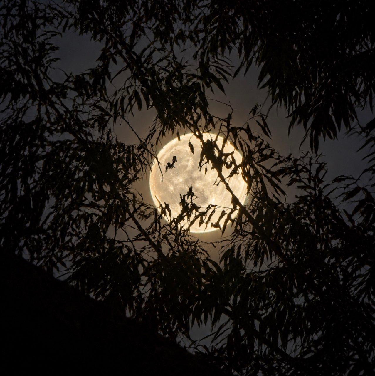 The Moon over Colorado Springs, United States — full moon, Lunar Day 15