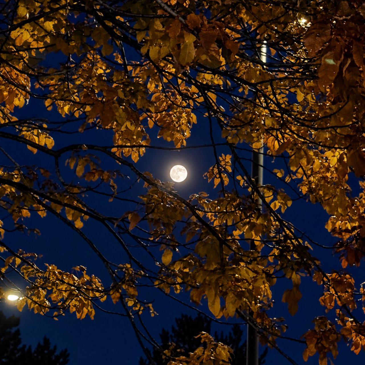 The Moon over Colorado Springs, United States — full moon, Lunar Day 16