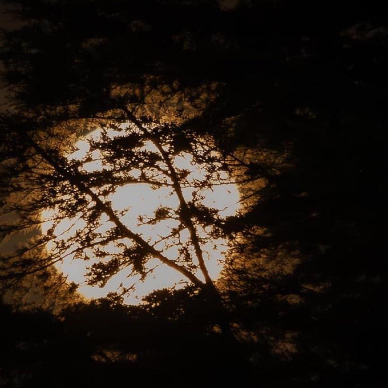The Moon over Mérida, España — waning gibbous, Lunar Day 18