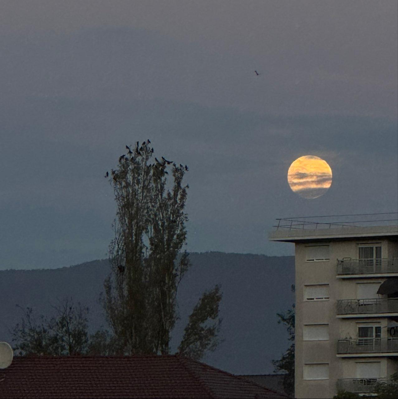 The Moon over Сен-Жюльєн-ан-Женевуа, Франція — waning gibbous, Lunar Day 18