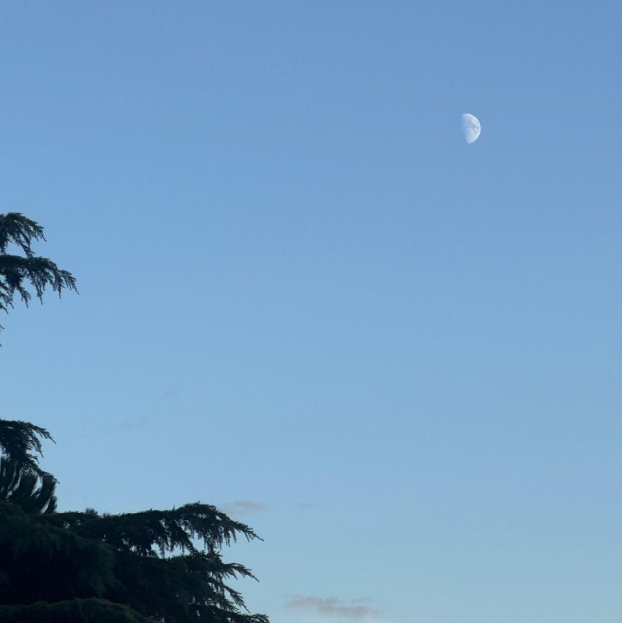 The Moon over Saint-Cyr-au-Mont-d'Or, France — first quarter, Lunar Day 10