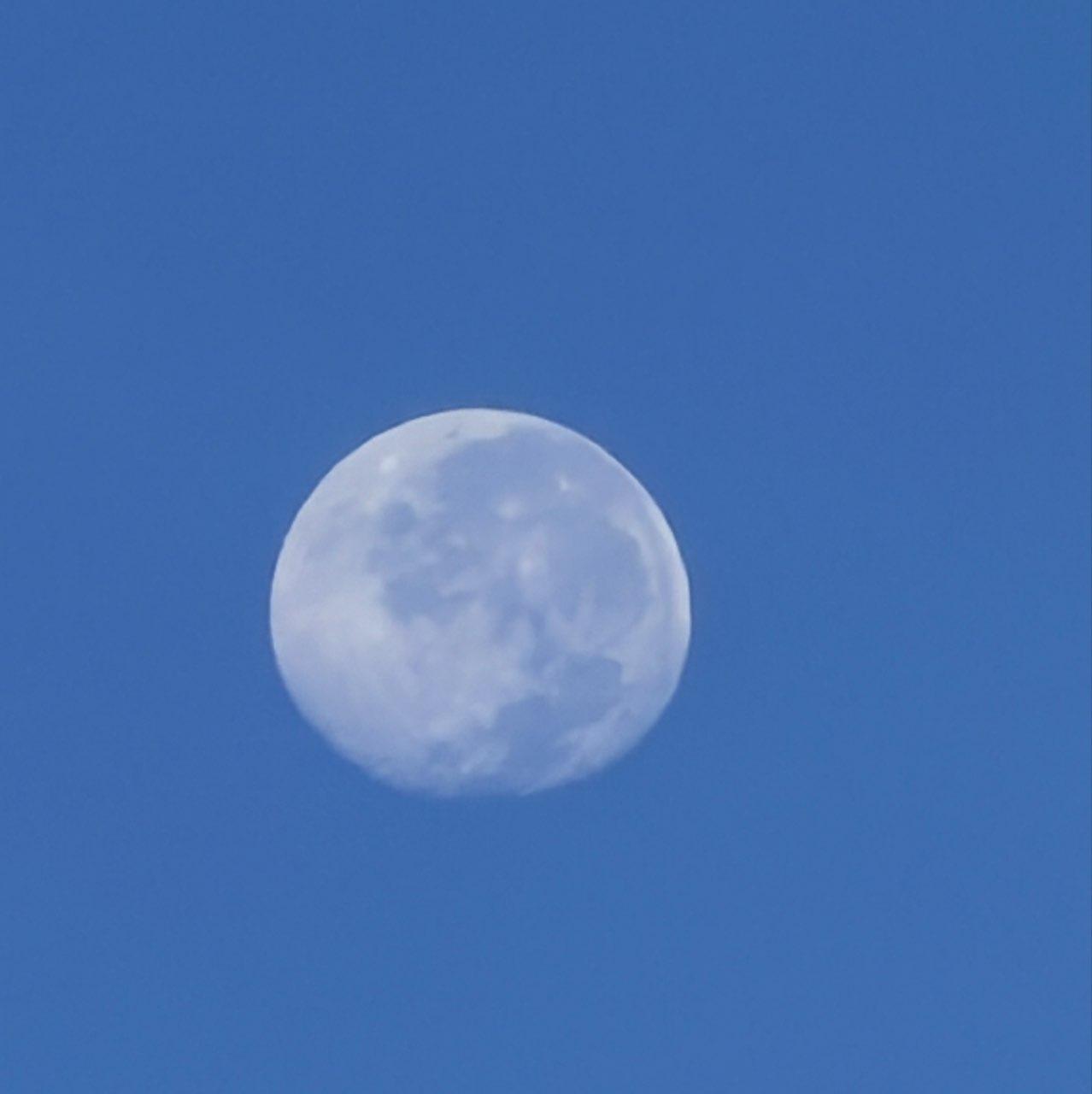 The Moon over Melbourne, United States — last quarter, Lunar Day 24