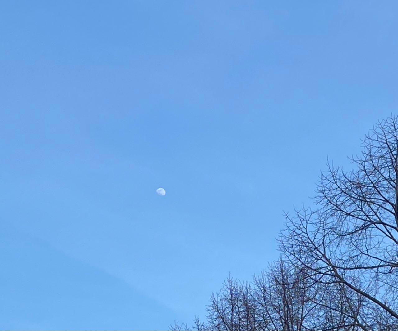 The Moon over Prague 3, Czechia — waxing gibbous, Lunar Day 11