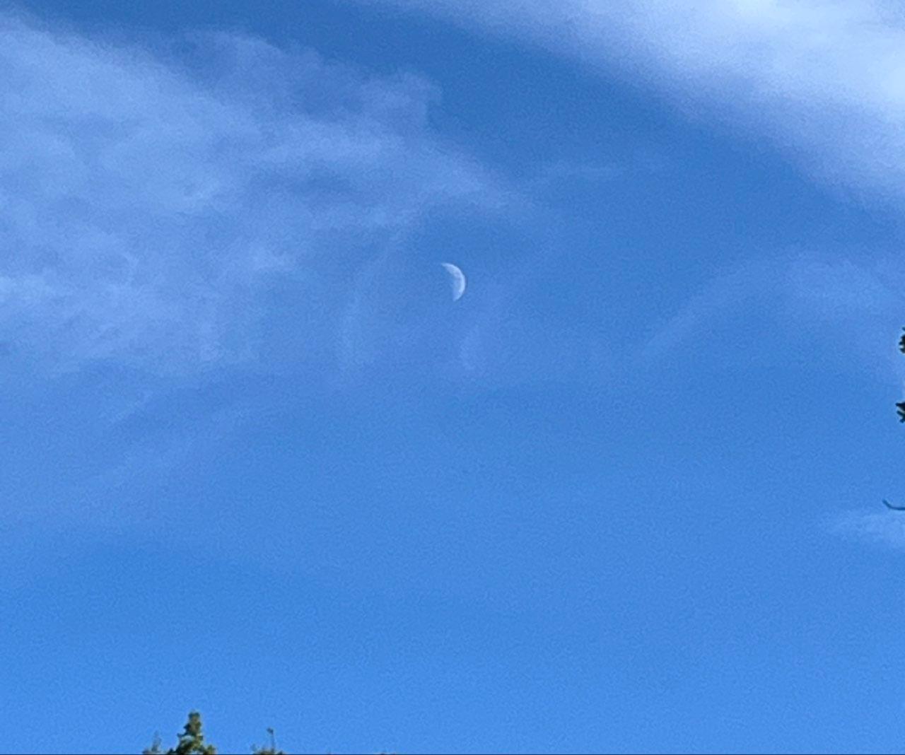 The Moon over Älvsjö, Sverige — first quarter, Lunar Day 7