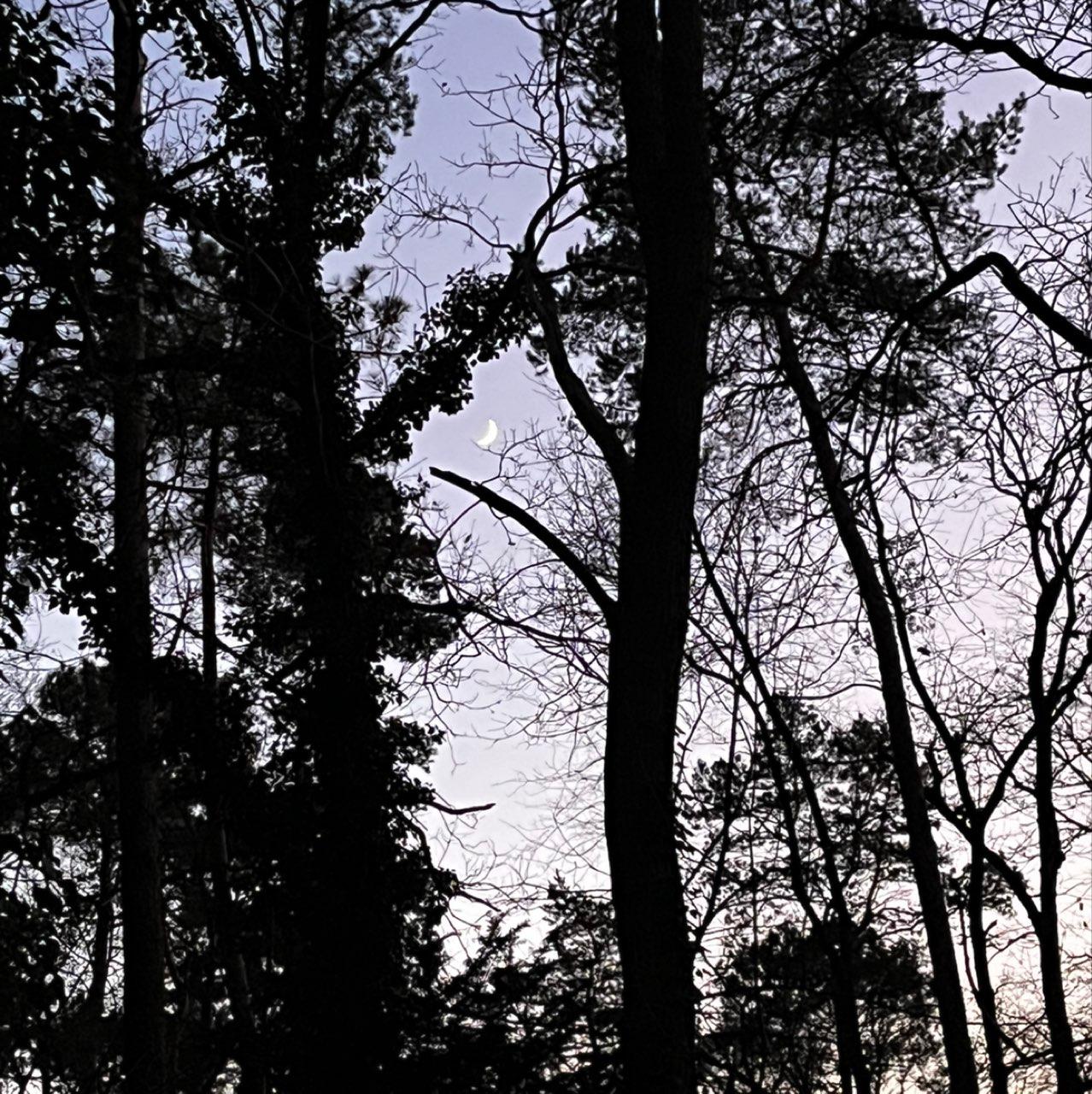 The Moon over Putte, Nederland — waxing crescent, Lunar Day 6