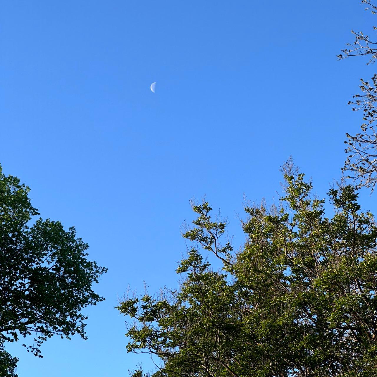 The Moon over Farmers Branch, Estados Unidos — last quarter, Lunar Day 25