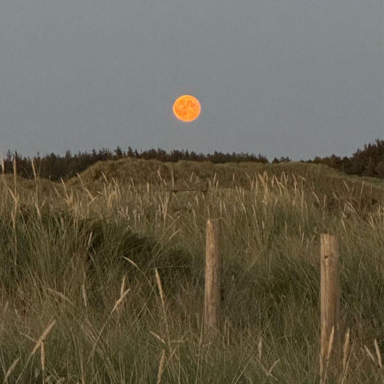 The Moon over Mühlhausen/Thüringen, Alemania — waning gibbous, Lunar Day 18