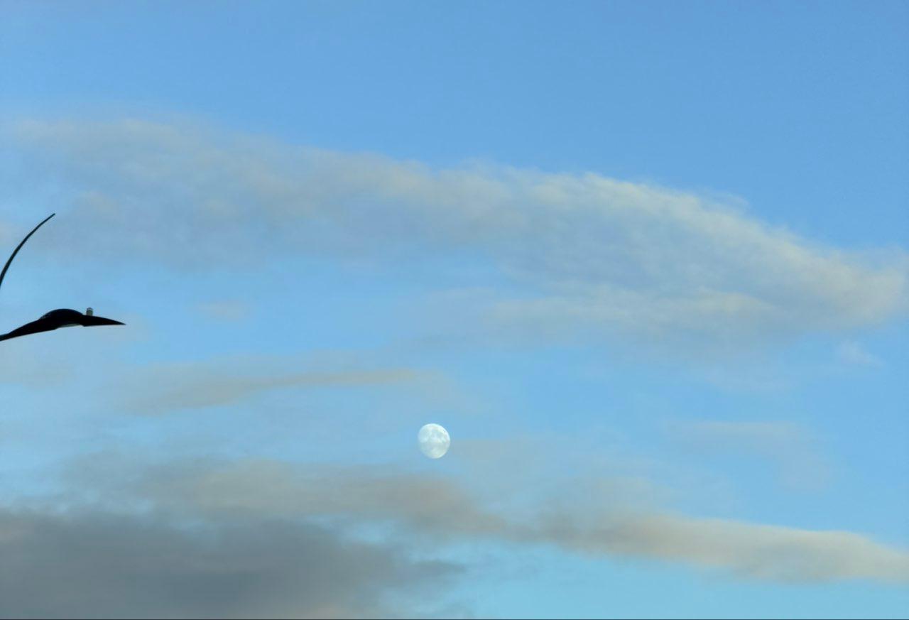 The Moon over Dagenham, United Kingdom — waxing gibbous, Lunar Day 14