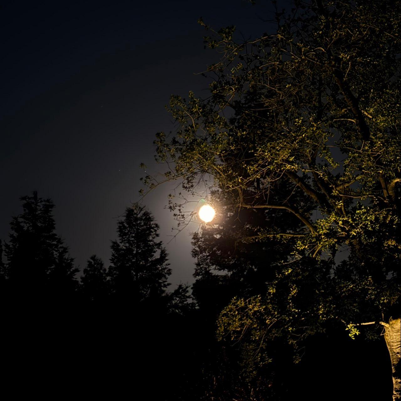 The Moon over Lodi, United States — full moon, Lunar Day 16