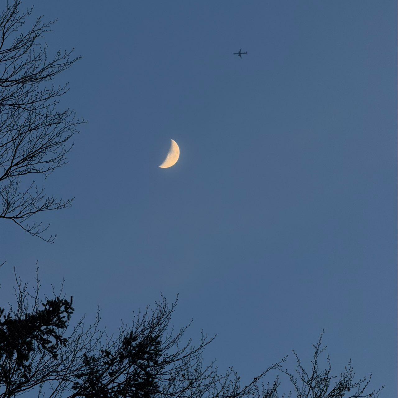 The Moon over Feusisberg, Schweiz — first quarter, Lunar Day 7