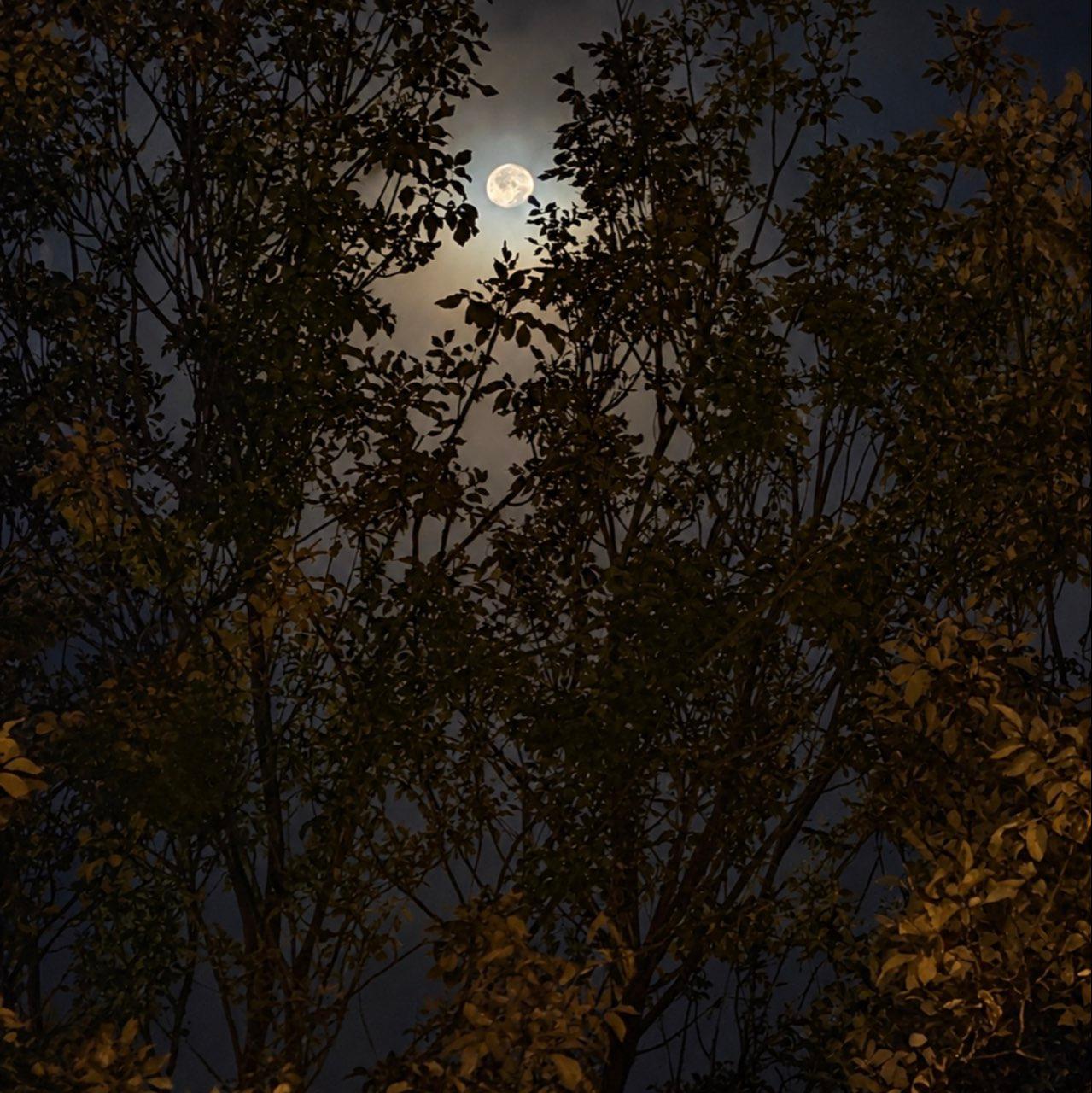 The Moon over Colorado Springs, United States — waning gibbous, Lunar Day 18