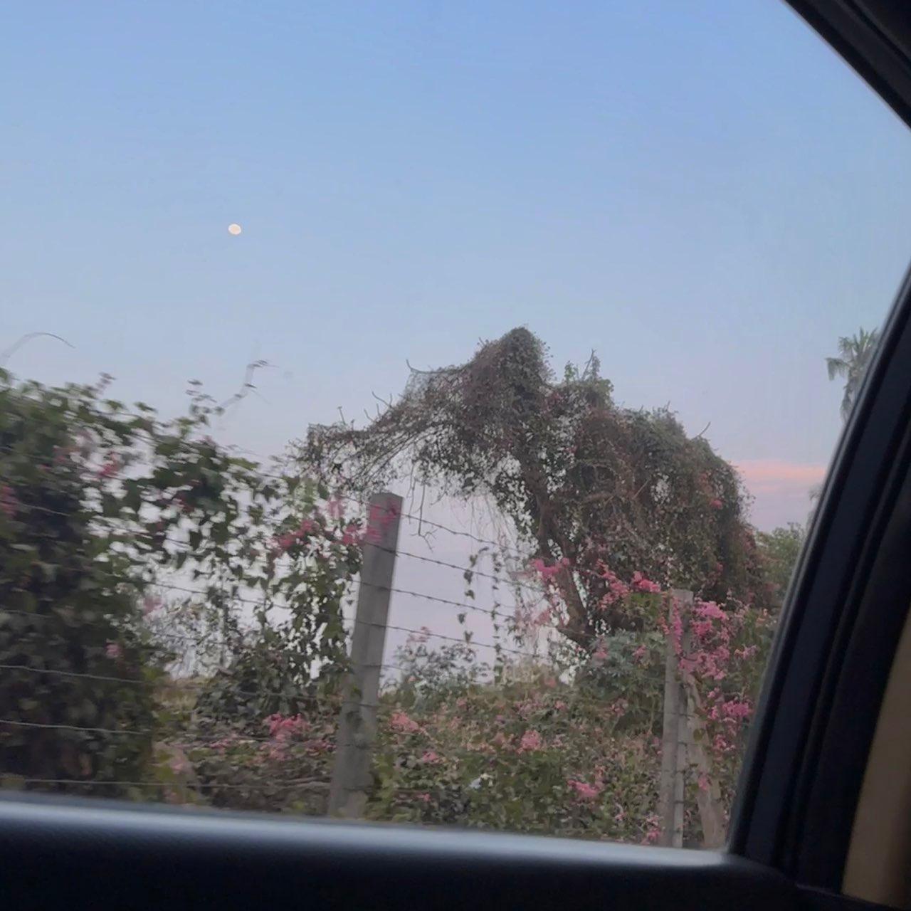 The Moon over Mumbai, India — waxing gibbous, Lunar Day 14