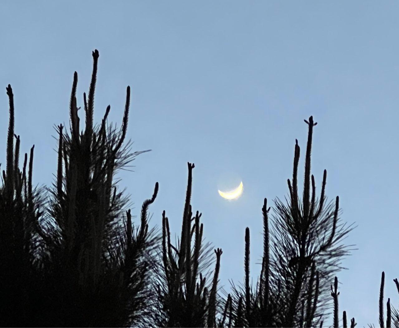 The Moon over Suresnes, France — waxing crescent, Lunar Day 4