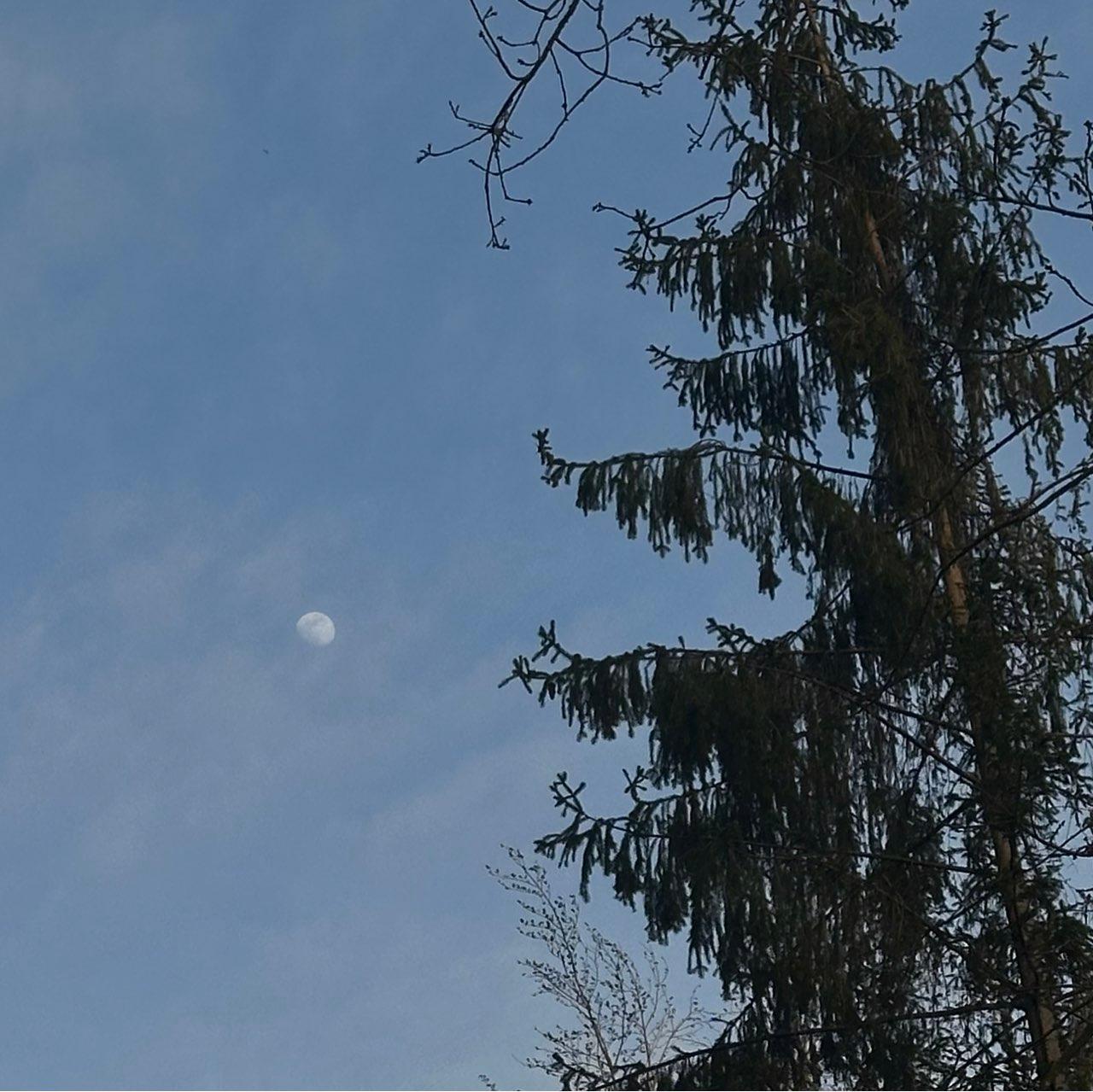 The Moon over Buchs AG, Schweiz — waxing gibbous, Lunar Day 12