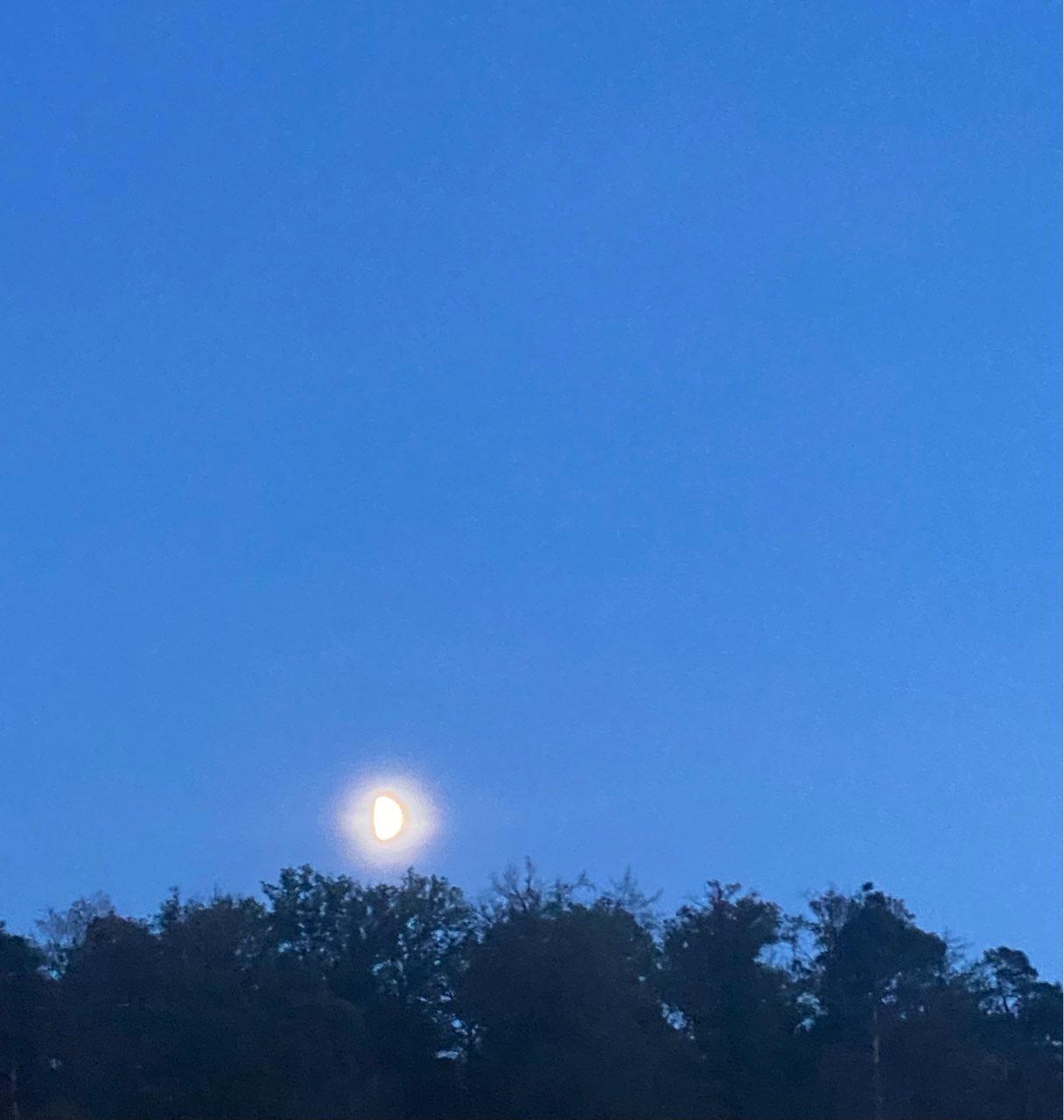 The Moon over Stuttgart, Deutschland — first quarter, Lunar Day 9
