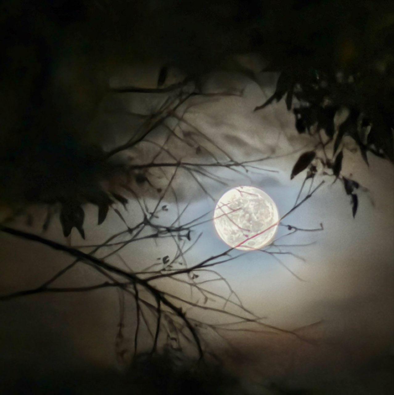 The Moon over Mitchelton, Australia — full moon, Lunar Day 14