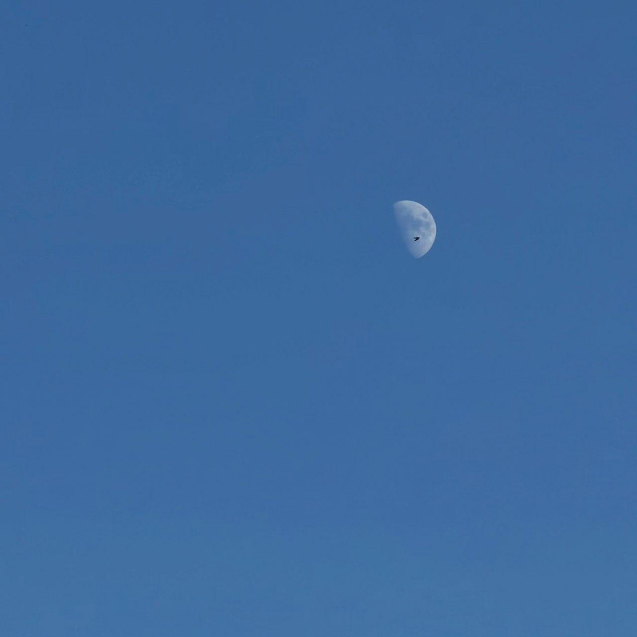 The Moon over Toronto, Canada — first quarter, Lunar Day 9