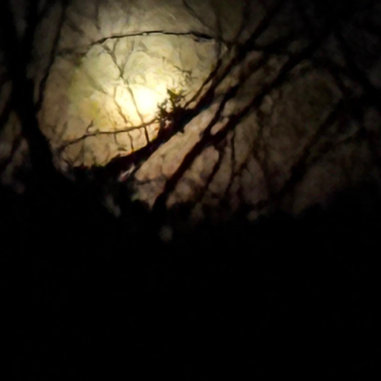 The Moon over Moreland Hills, United States — waning gibbous, Lunar Day 18