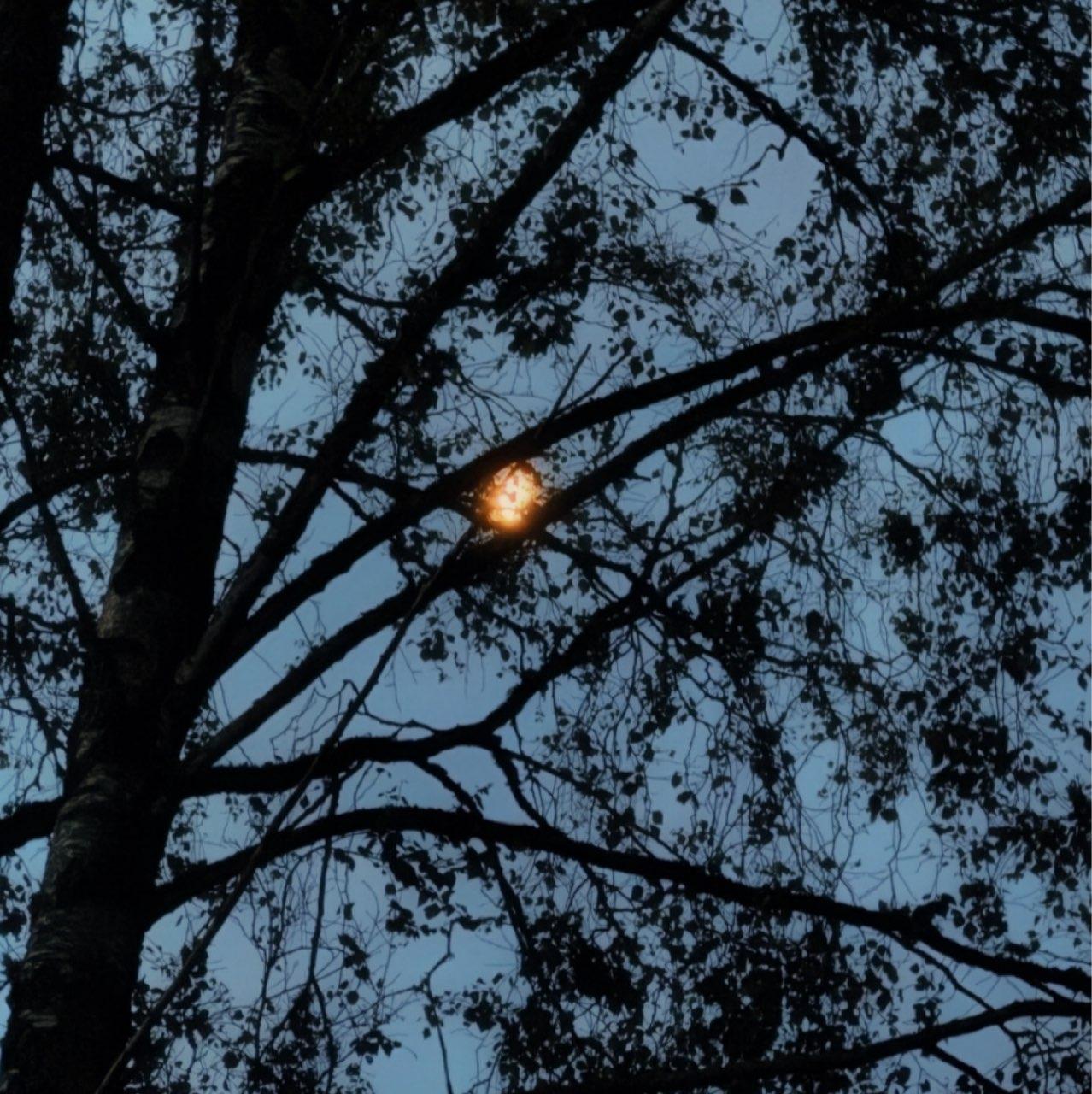 The Moon over Värnamo, Sverige — waning crescent, Lunar Day 27