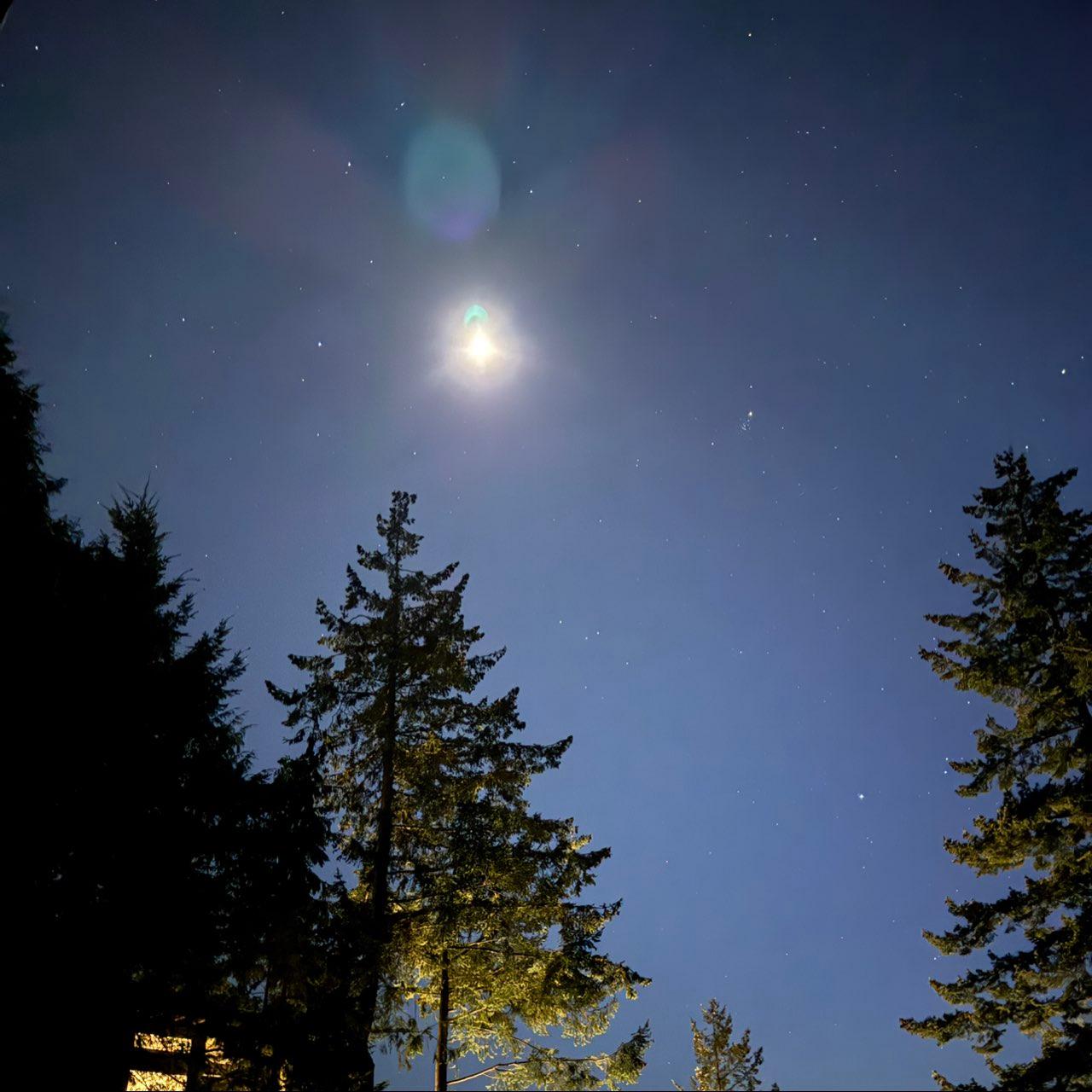 The Moon over Tofino, Canada — first quarter, Lunar Day 8