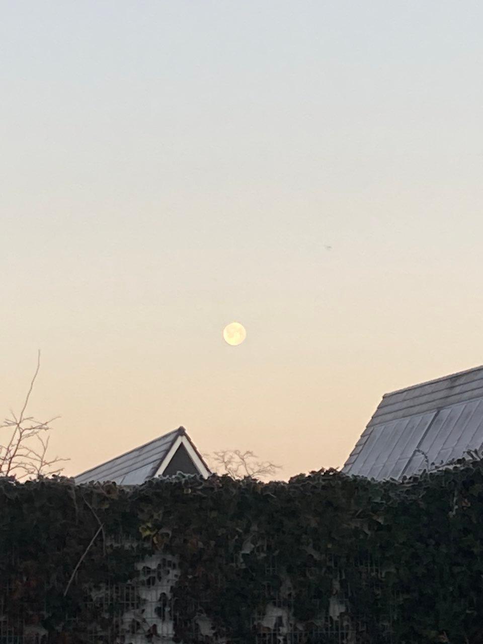The Moon over Ermelo, Nederland — full moon, Lunar Day 17