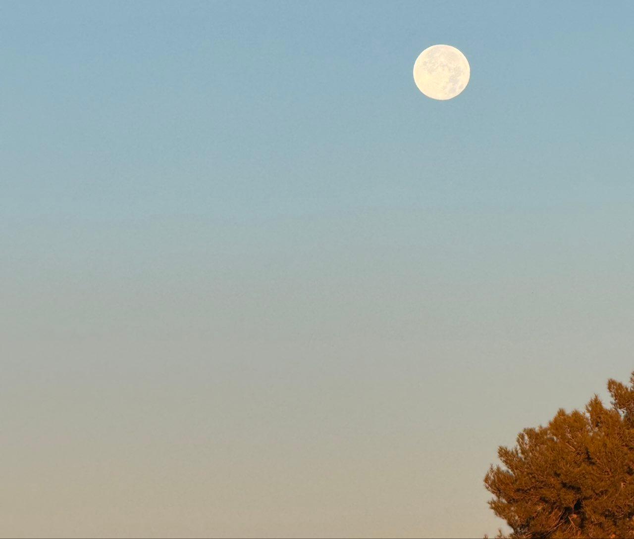 The Moon over Phoenix, Estados Unidos — full moon, Lunar Day 16