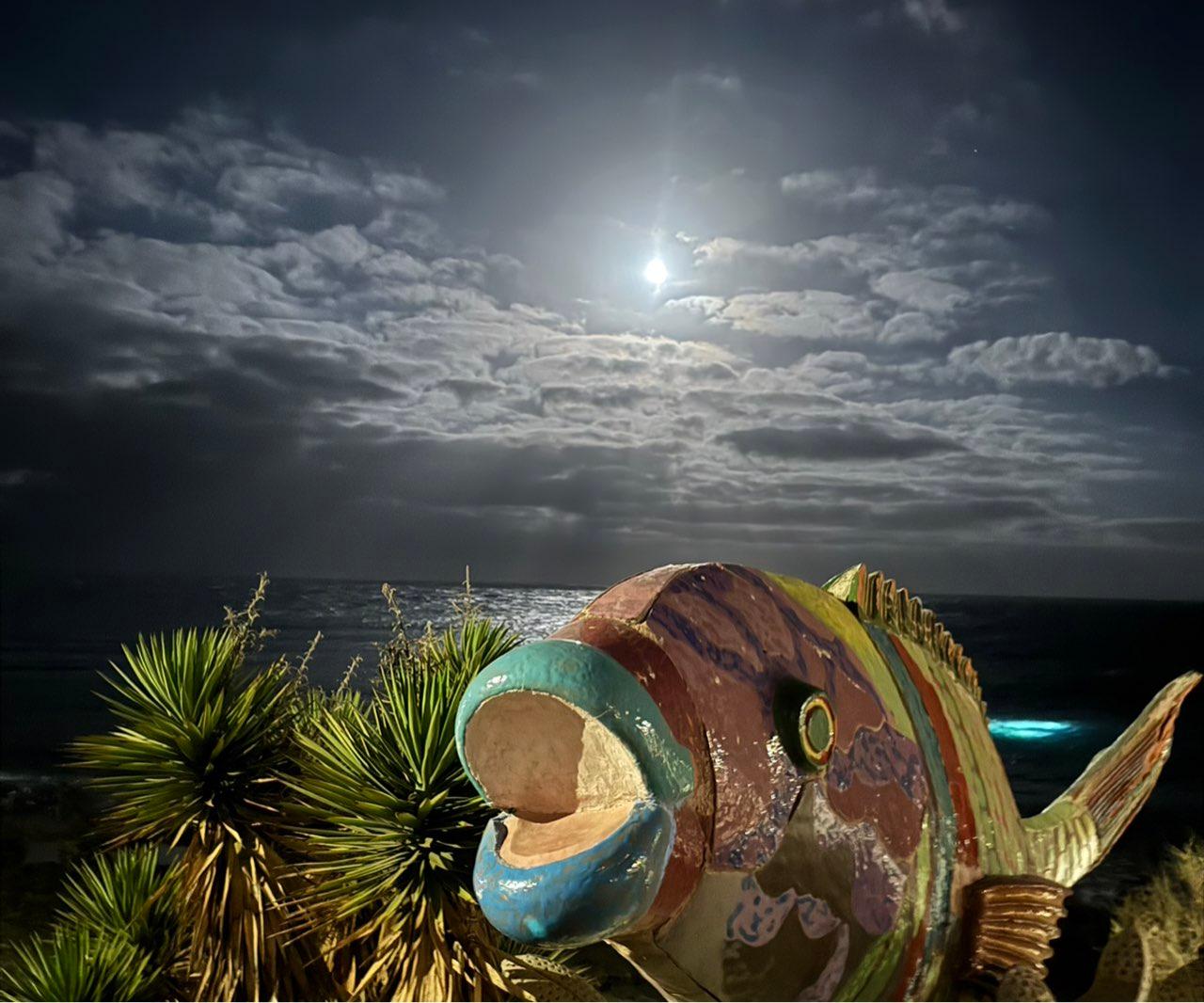 The Moon over Agüimes, España — full moon, Lunar Day 16