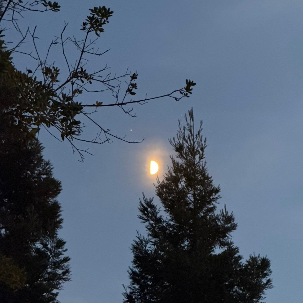 The Moon over Lodi, United States — first quarter, Lunar Day 9