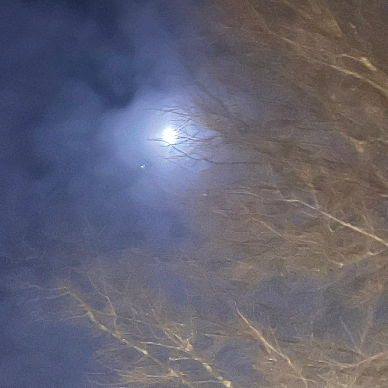 The Moon over Borås, Sverige — first quarter, Lunar Day 8