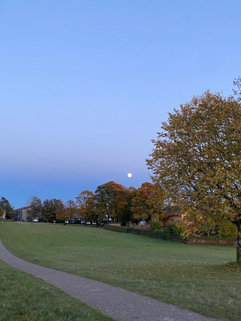 The Moon over Schlieren, Schweiz — full moon, Lunar Day 14