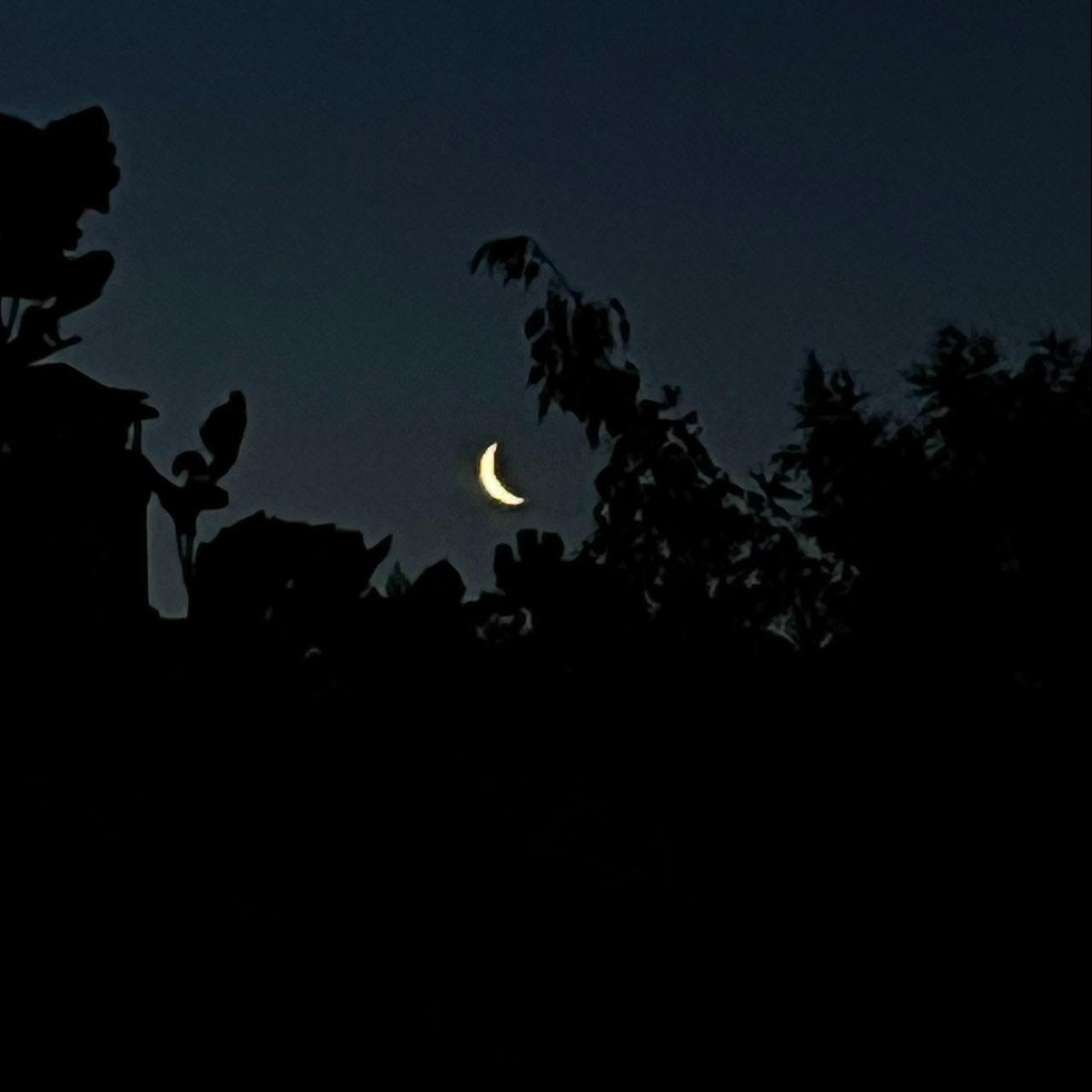 The Moon over Воронеж, Россия — waning crescent, Lunar Day 28